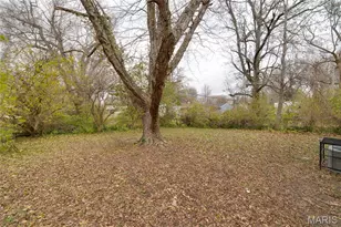 10769 Spring Garden Dr, Saint Louis, MO 63137 - Photo 22