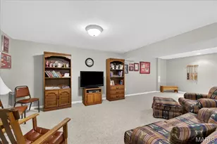 4509 Von Talge Meadows Ct, Unincorporated, MO 63128 - Photo 26