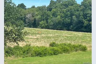 570 Sandra Way, Winfield, MO 63389 - Photo 12