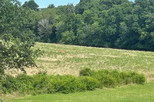 570 Sandra Way, Winfield, MO 63389 - Photo 12