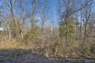 1438 Twin Oaks Dr, Unincorporated, MO 63010 - Photo 22