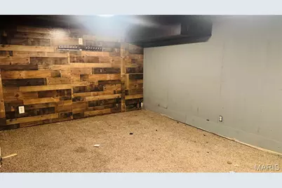 3540 S Spring Avenue, Saint Louis, MO 63116 - Photo 14