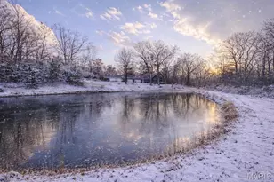 9900 Thurman Oaks Rd, Valles Mines, MO 63087 - Photo 2
