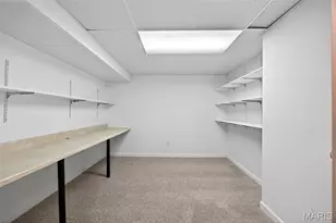 756 Thunder Hill Dr, O'Fallon, MO 63368 - Photo 56