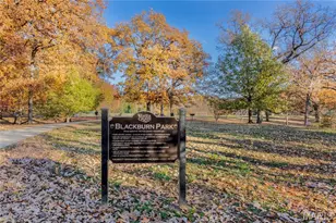 435 Landscape Ct, Webster Groves, MO 63119 - Photo 52