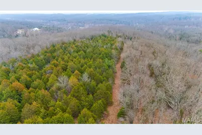 0 Diamond School Road, Grubville, MO 63041 - Photo 48