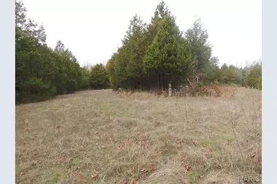 0 Diamond School Road, Grubville, MO 63041 - Photo 12