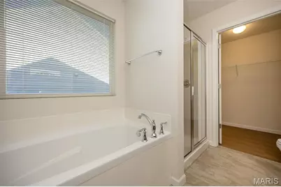 114 San Marino Parkway Parkway, Fenton, MO 63026 - Photo 20