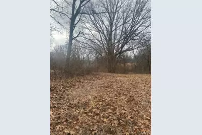 285 Graves, Foley, MO 63347 - Photo 24