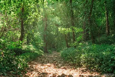 218 S King Street, Lebanon, MO 65536 - Photo 58