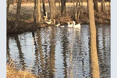 38520 Pin Oak Church Road, Truxton, MO 63381 - Photo 54