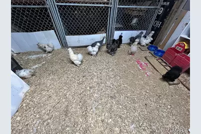 38520 Pin Oak Church Road, Truxton, MO 63381 - Photo 52