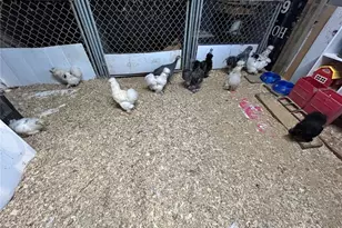 38520 Pin Oak Church Rd, Truxton, MO 63381 - Photo 52