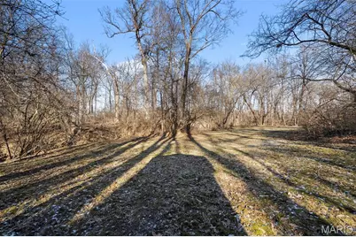 840 Angleterre Drive, Creve Coeur, MO 63141 - Photo 66