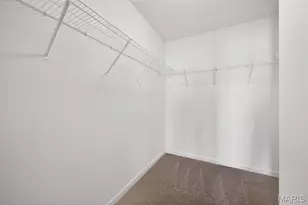 202 Marais Temps Clair Way, Saint Charles, MO 63301 - Photo 34