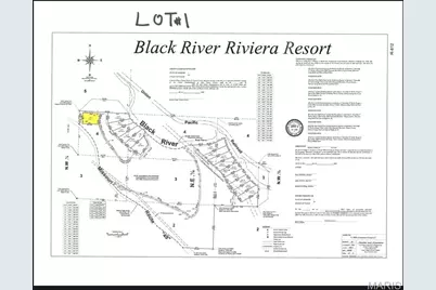 0 River Lot 1, Mill Spring, MO 63925 - Photo 4