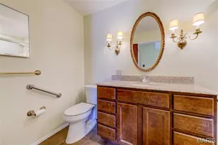 15137 Chamisal Dr, Chesterfield, MO 63017 - Photo 50