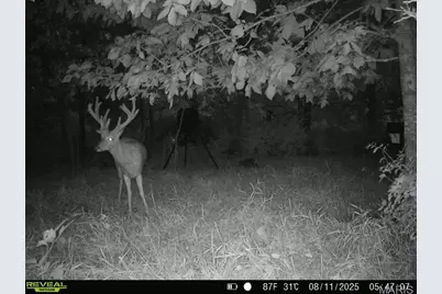 23235 Dalton Road, Warrenton, MO 63383 - Photo 14