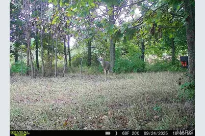 23235 Dalton Road, Warrenton, MO 63383 - Photo 18