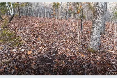 2593 Highway 50, Linn, MO 65051 - Photo 6