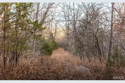 2593 Highway 50, Linn, MO 65051 - Photo 12
