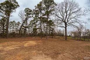 3378 State Hwy 21 S, Ellsinore, MO 63937 - Photo 50