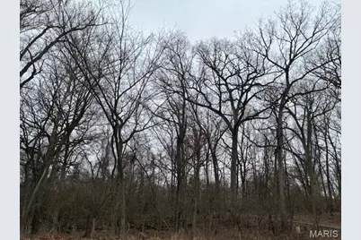 Lot36 Blockf Red Bud Drive, Catawissa, MO 63015 - Photo 6