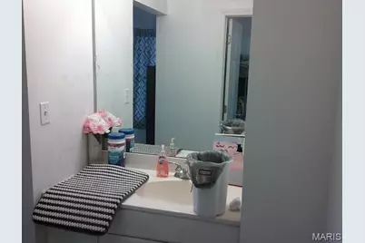 13670 Mammoth Road, De Soto, MO 63020 - Photo 24