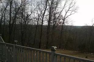 13670 Mammoth Rd, De Soto, MO 63020 - Photo 42