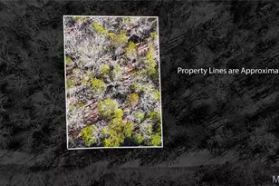 10314 Lake Hill Trail, Hillsboro, MO 63050 - Photo 1