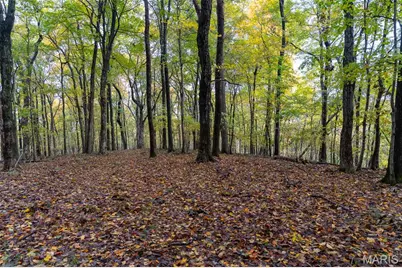 000 County Road 20A_170+/-, Bellerive, MO 63623 - Photo 32