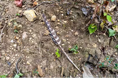 000 County Road 20A_170+/-, Bellerive, MO 63623 - Photo 30