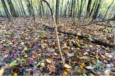 0 County Road 20A_245+/-, Bellerive, MO 63623 - Photo 78