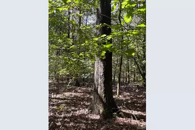 0 County Road 20A_245+/-, Bellerive, MO 63623 - Photo 56