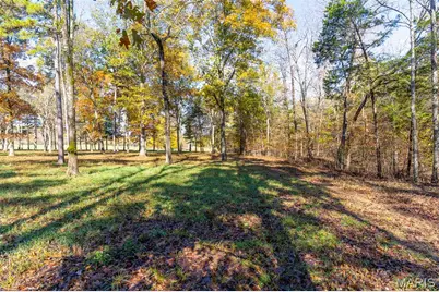 0 County Road 20A_245+/-, Bellerive, MO 63623 - Photo 92