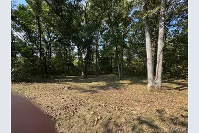 9105 State Road Ww, Dittmer, MO 63023 - Photo 38