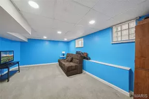 6257 Goener Ave, Saint Louis, MO 63116 - Photo 18