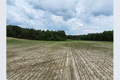 Tract 3, Off County Road 259, Advance, MO 63730 - Photo 6
