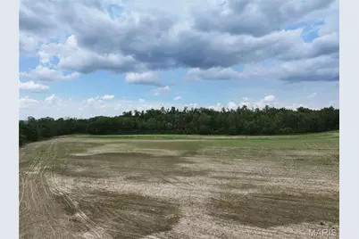 Tract 3, Off County Road 259, Advance, MO 63730 - Photo 4