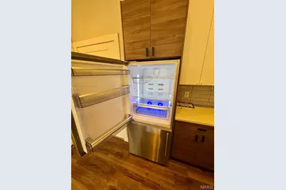 415 Debaliviere Avenue #101, Saint Louis, MO 63112 - Photo 34