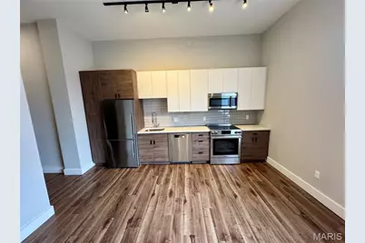 415 Debaliviere Avenue #101, Saint Louis, MO 63112 - Photo 30