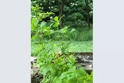 9515 Country Club Green, Saint Louis, MO 63127 - Photo 80