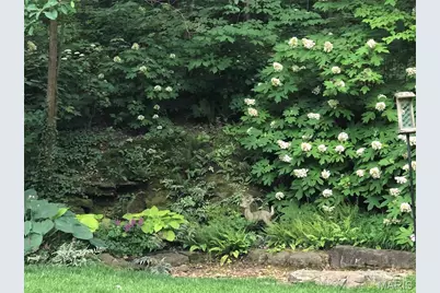 9515 Country Club Green, Saint Louis, MO 63127 - Photo 58