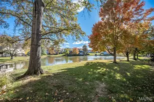 14924 Manor Lake Dr, Chesterfield, MO 63017 - Photo 58