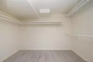 14924 Manor Lake Dr, Chesterfield, MO 63017 - Photo 52