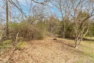 2235 Silver Lake Estates Dr, Pacific, MO 63069 - Photo 26