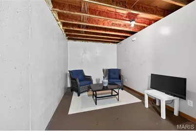 704 Richard Avenue, Festus, MO 63028 - Photo 24