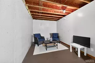 704 Richard Ave, Festus, MO 63028 - Photo 24