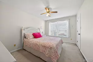 704 Richard Ave, Festus, MO 63028 - Photo 20