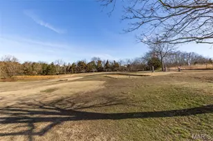 2950 Stone House Rd, De Soto, MO 63020 - Photo 6